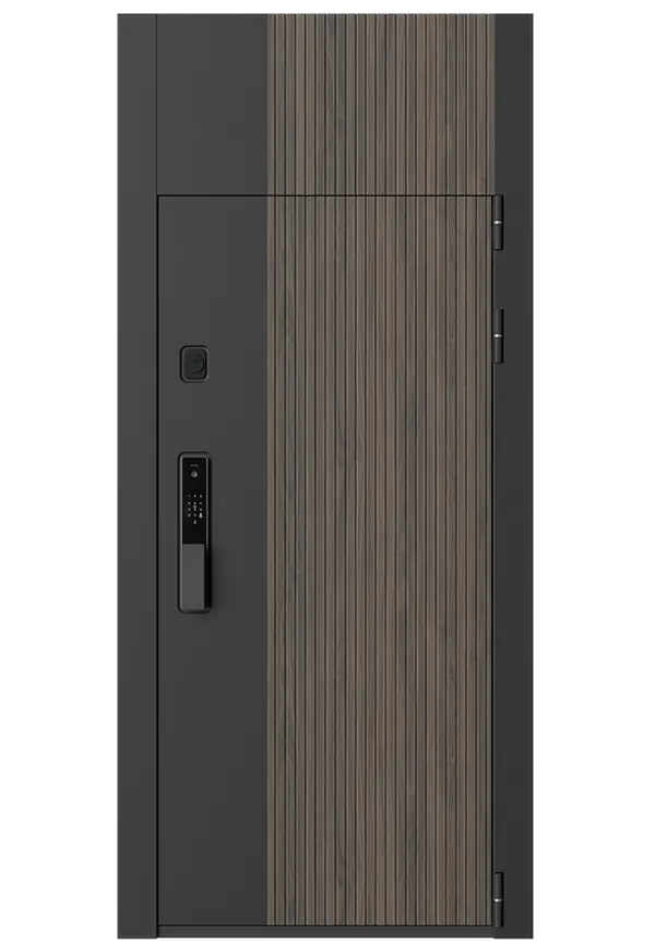 Электронный замок Hogo V07